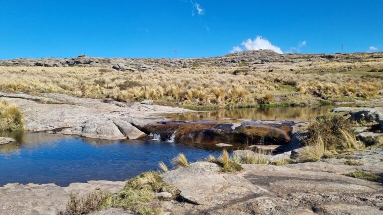 Apertura de Temporada en Cordoba 2025