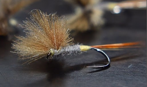 Adams CDC