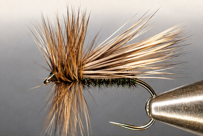 Best Caddis