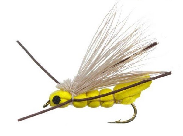 Boy Hopper