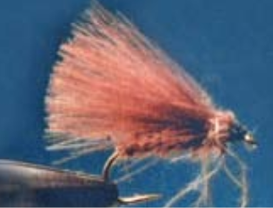 Clase 9: – Caddis de CDC –