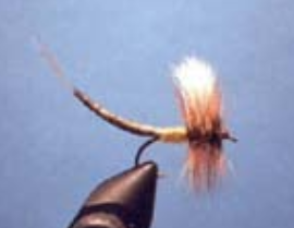 May Fly Extended Body