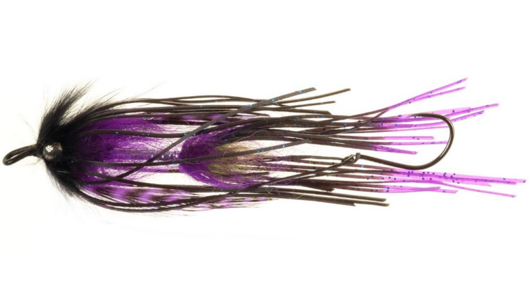 Clase 4: – Squidro Trout –